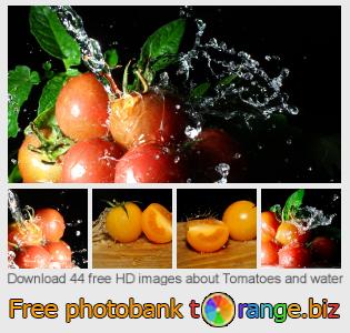images free photo bank tOrange offers free photos from the section:  tomatoes-water