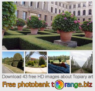 images free photo bank tOrange offers free photos from the section:  topiary-art