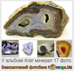 Фотобанк tOrange пропонує безкоштовні фото з розділу:  агат-мінерал
