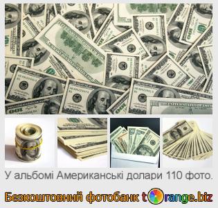 Фотобанк tOrange пропонує безкоштовні фото з розділу:  американські-долари