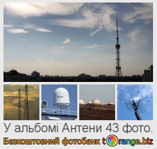 Фотобанк tOrange пропонує безкоштовні фото з розділу:  антени