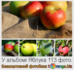 Фотобанк tOrange пропонує безкоштовні фото з розділу:  яблука