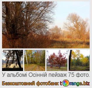 Фотобанк tOrange пропонує безкоштовні фото з розділу:  осінній-пейзаж