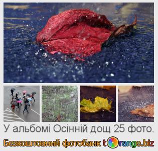Фотобанк tOrange пропонує безкоштовні фото з розділу:  осінній-дощ