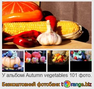 Фотобанк tOrange пропонує безкоштовні фото з розділу:  осінні-овочі