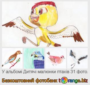 Фотобанк tOrange пропонує безкоштовні фото з розділу:  дитячі-малюнки-птахів