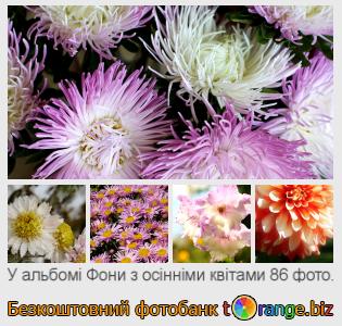 Фотобанк tOrange пропонує безкоштовні фото з розділу:  фони-з-осінніми-квітами