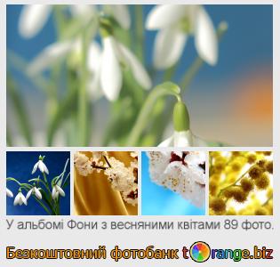 Фотобанк tOrange пропонує безкоштовні фото з розділу:  фони-з-весняними-квітами