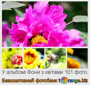 Фотобанк tOrange пропонує безкоштовні фото з розділу:  фони-з-квітами