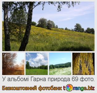 Фотобанк tOrange пропонує безкоштовні фото з розділу:  гарна-природа