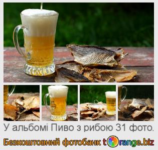 Фотобанк tOrange пропонує безкоштовні фото з розділу:  пиво-з-рибою
