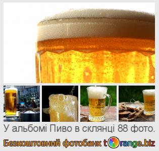 Фотобанк tOrange пропонує безкоштовні фото з розділу:  пиво-в-склянці