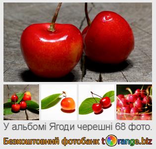 Фотобанк tOrange пропонує безкоштовні фото з розділу:  ягоди-черешні