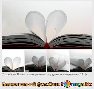 Фотобанк tOrange пропонує безкоштовні фото з розділу:  книга-зі-складеними-сердечком-сторінками