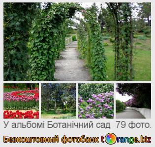 Фотобанк tOrange пропонує безкоштовні фото з розділу:  ботанічний-сад