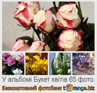 Фотобанк tOrange пропонує безкоштовні фото з розділу:  букет-квітів