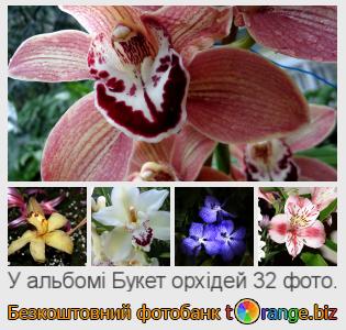 Фотобанк tOrange пропонує безкоштовні фото з розділу:  букет-орхідей