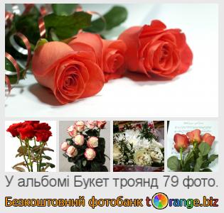 Фотобанк tOrange пропонує безкоштовні фото з розділу:  букет-троянд