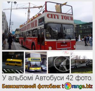 Фотобанк tOrange пропонує безкоштовні фото з розділу:  автобуси