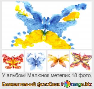 Фотобанк tOrange пропонує безкоштовні фото з розділу:  малюнок-метелик