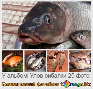 Фотобанк tOrange пропонує безкоштовні фото з розділу:  улов-рибалки