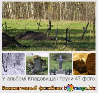 Фотобанк tOrange пропонує безкоштовні фото з розділу:  кладовища-і-труни