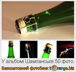 Фотобанк tOrange пропонує безкоштовні фото з розділу:  шампанське