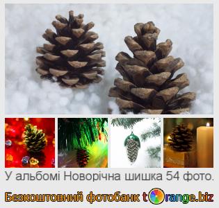 Фотобанк tOrange пропонує безкоштовні фото з розділу:  новорічна-шишка