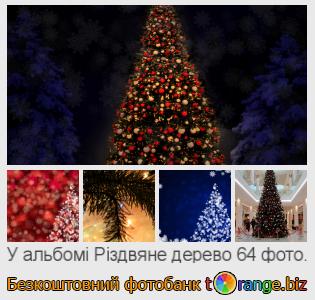 Фотобанк tOrange пропонує безкоштовні фото з розділу:  різдвяне-дерево