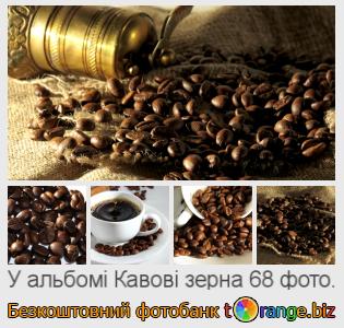 Фотобанк tOrange пропонує безкоштовні фото з розділу:  кавові-зерна