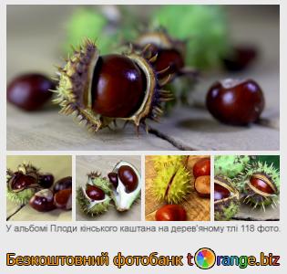Фотобанк tOrange пропонує безкоштовні фото з розділу:  плоди-кінського-каштана-на-деревяному-тлі