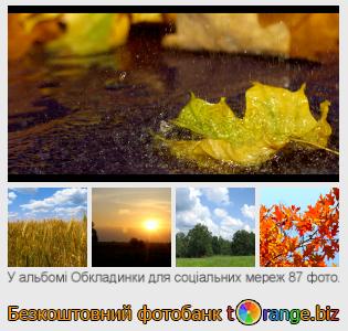 Фотобанк tOrange пропонує безкоштовні фото з розділу:  обкладинки-для-соціальних-мереж