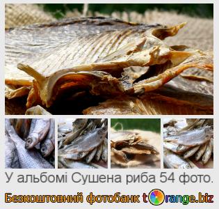 Фотобанк tOrange пропонує безкоштовні фото з розділу:  сушена-риба