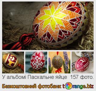 Фотобанк tOrange пропонує безкоштовні фото з розділу:  пасхальне-яйце