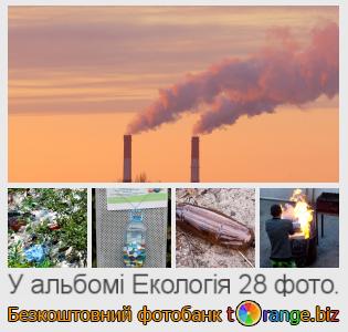 Фотобанк tOrange пропонує безкоштовні фото з розділу:  екологія