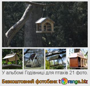 Фотобанк tOrange пропонує безкоштовні фото з розділу:  годівниці-для-птахів