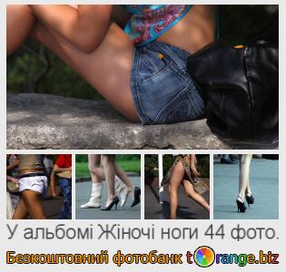 Фотобанк tOrange пропонує безкоштовні фото з розділу:  жіночі-ноги