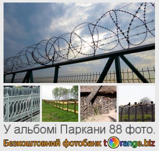 Фотобанк tOrange пропонує безкоштовні фото з розділу:  паркани