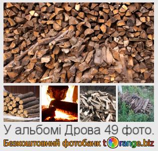 Фотобанк tOrange пропонує безкоштовні фото з розділу:  дрова