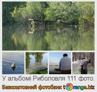 Фотобанк tOrange пропонує безкоштовні фото з розділу:  риболовля