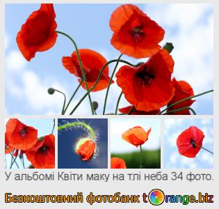 Фотобанк tOrange пропонує безкоштовні фото з розділу:  квіти-маку-на-тлі-неба