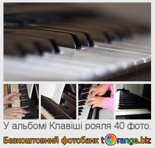 Фотобанк tOrange пропонує безкоштовні фото з розділу:  клавіші-рояля