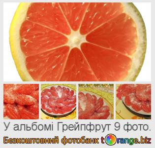 Фотобанк tOrange пропонує безкоштовні фото з розділу:  грейпфрут