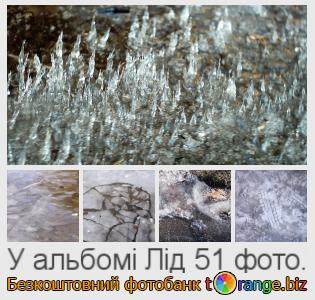 Фотобанк tOrange пропонує безкоштовні фото з розділу:  лід