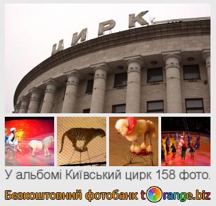 Фотобанк tOrange пропонує безкоштовні фото з розділу:  київський-цирк