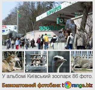 Фотобанк tOrange пропонує безкоштовні фото з розділу:  київський-зоопарк