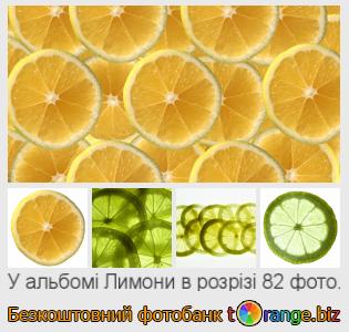 Фотобанк tOrange пропонує безкоштовні фото з розділу:  лимони-в-розрізі