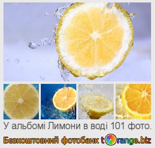 Фотобанк tOrange пропонує безкоштовні фото з розділу:  лимони-в-воді