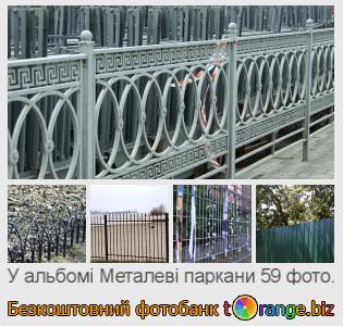 Фотобанк tOrange пропонує безкоштовні фото з розділу:  металеві-паркани
