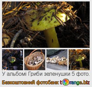 Фотобанк tOrange пропонує безкоштовні фото з розділу:  гриби-зеленушки